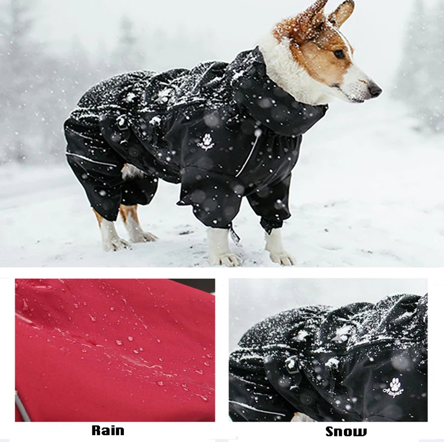 Warrior Shield All-Weather Dog Coat - PetPlayHub