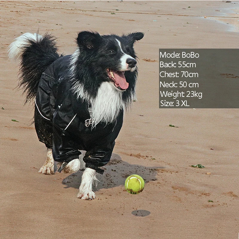 Warrior Shield All-Weather Dog Coat - PetPlayHub