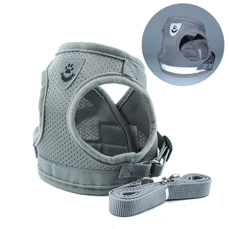 Adventure-Ready Cat Harness - PetPlayHub