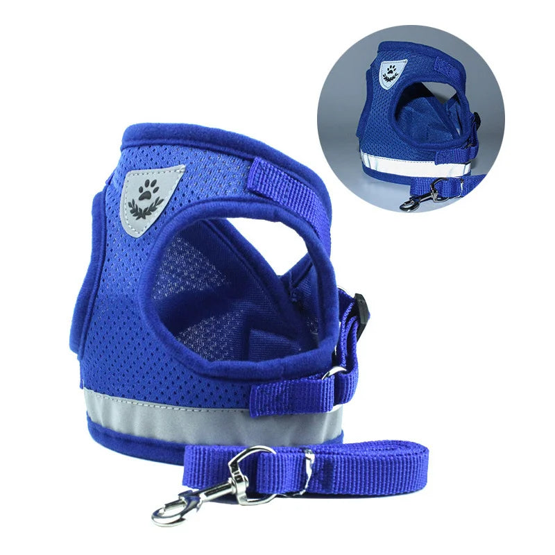 Adventure-Ready Cat Harness - PetPlayHub