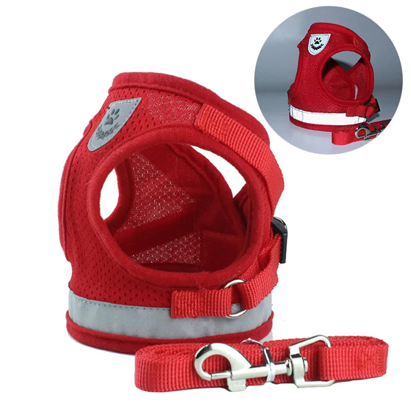 Adventure-Ready Cat Harness - PetPlayHub