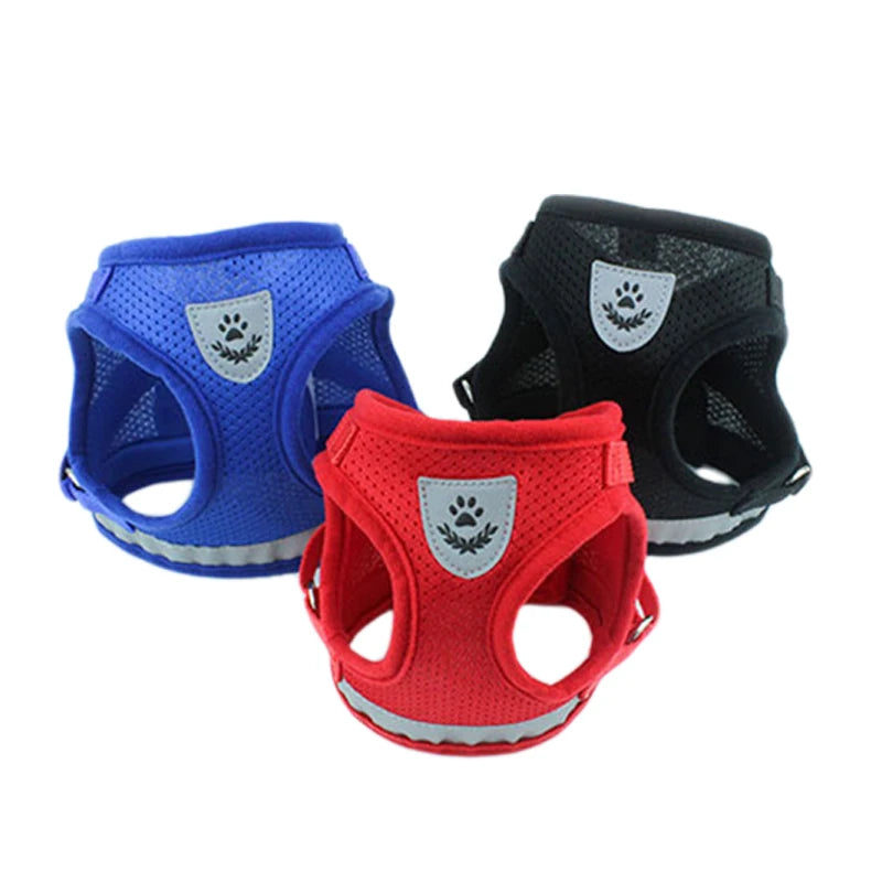 Adventure-Ready Cat Harness - PetPlayHub