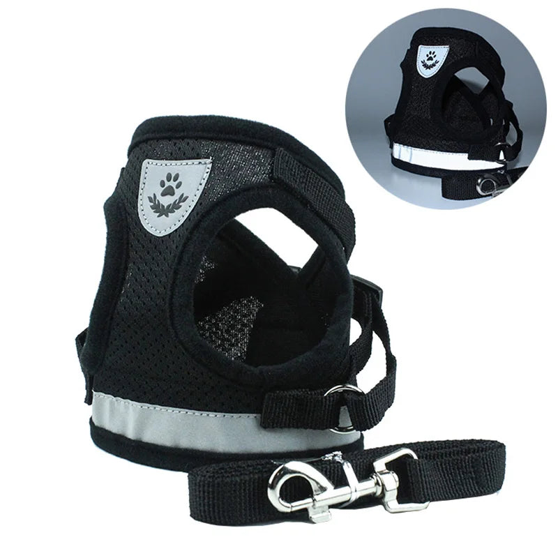 Adventure-Ready Cat Harness - PetPlayHub