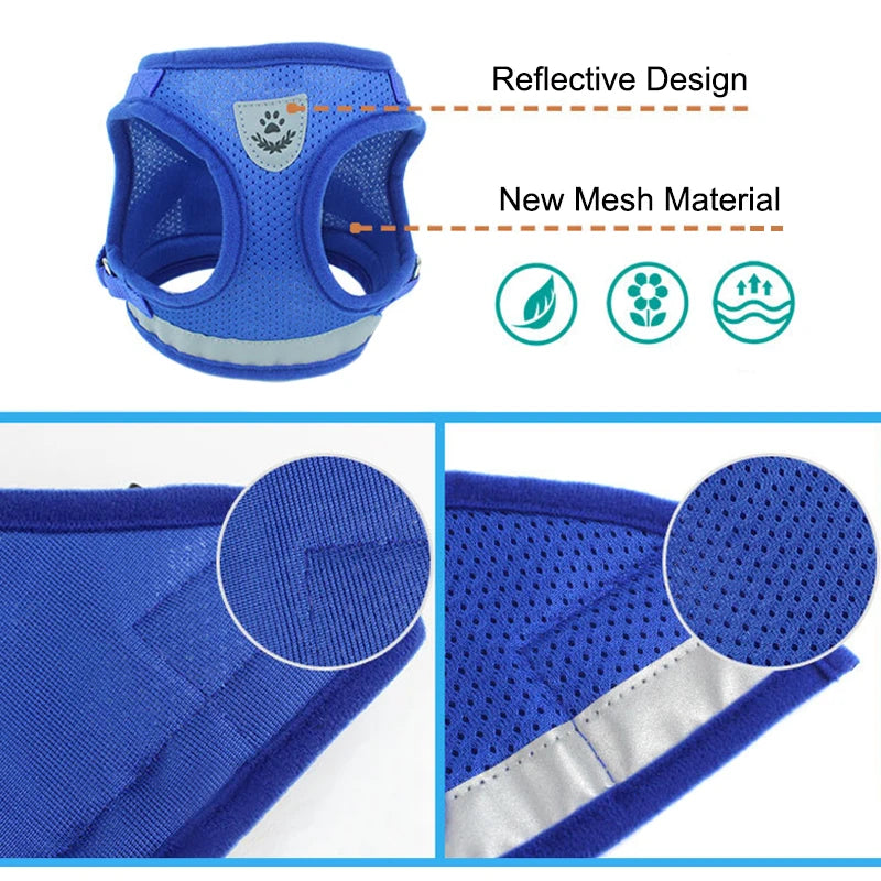 Adventure-Ready Cat Harness - PetPlayHub