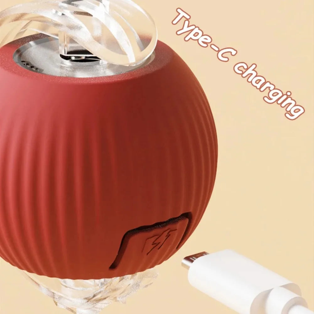 Rolling Cat Toy Ball – Fun & Engaging Chase Toy - PetPlayHub