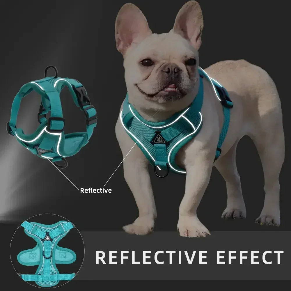 ComfortGuard Premium Pet Harness & Leash System - PetPlayHub