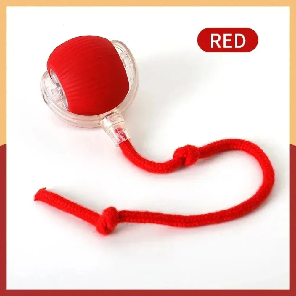Rolling Cat Toy Ball – Fun & Engaging Chase Toy - PetPlayHub