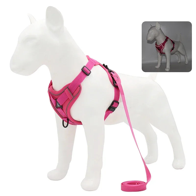 ComfortGuard Premium Pet Harness & Leash System - PetPlayHub