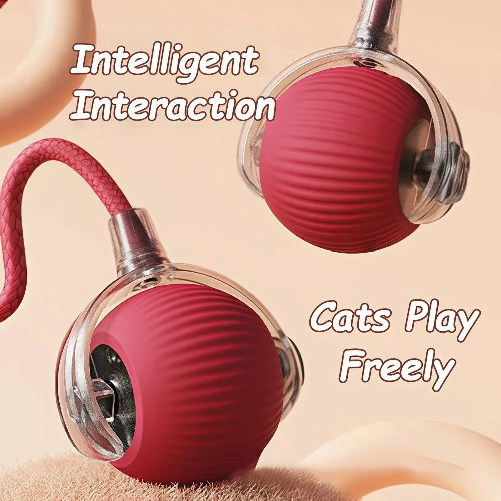 Rolling Cat Toy Ball – Fun & Engaging Chase Toy - PetPlayHub