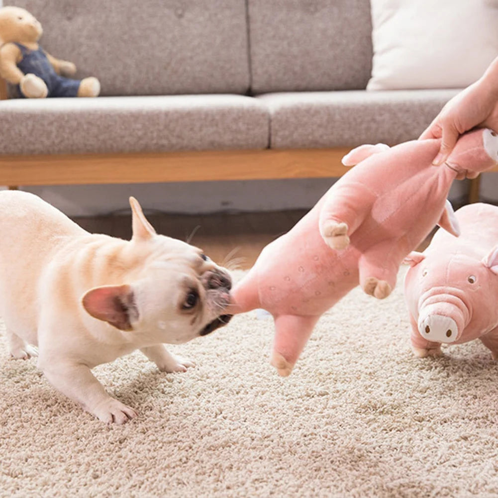 SquishPig Ultra-Tough Pet Toy - PetPlayHub