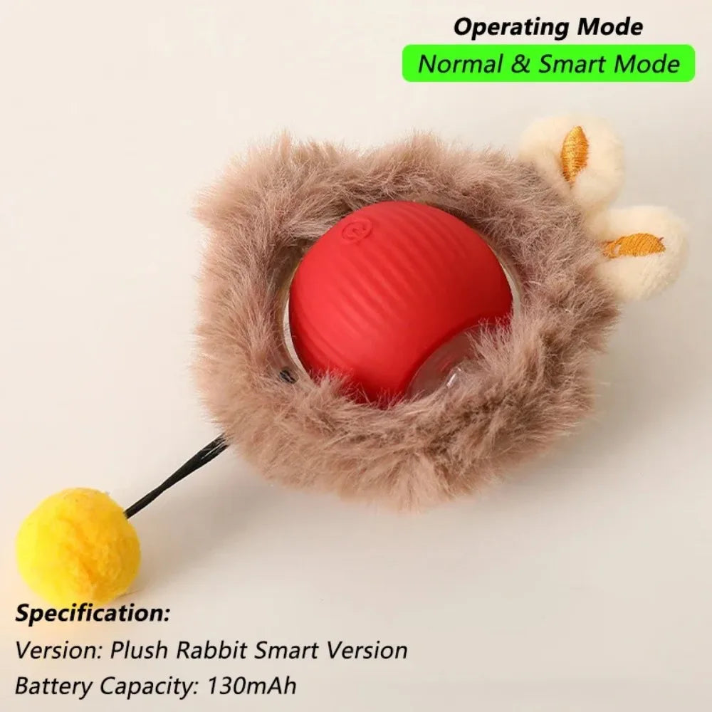 Rolling Cat Toy Ball – Fun & Engaging Chase Toy - PetPlayHub