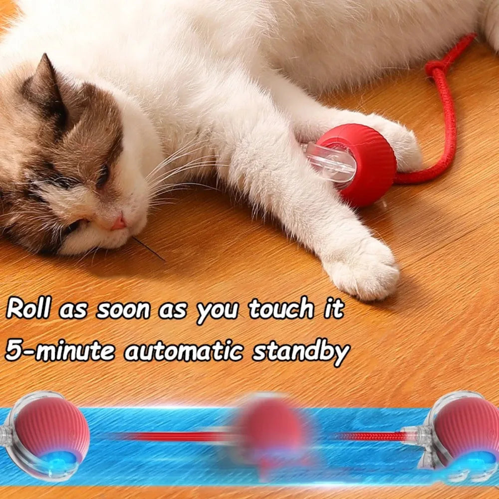 Rolling Cat Toy Ball – Fun & Engaging Chase Toy - PetPlayHub