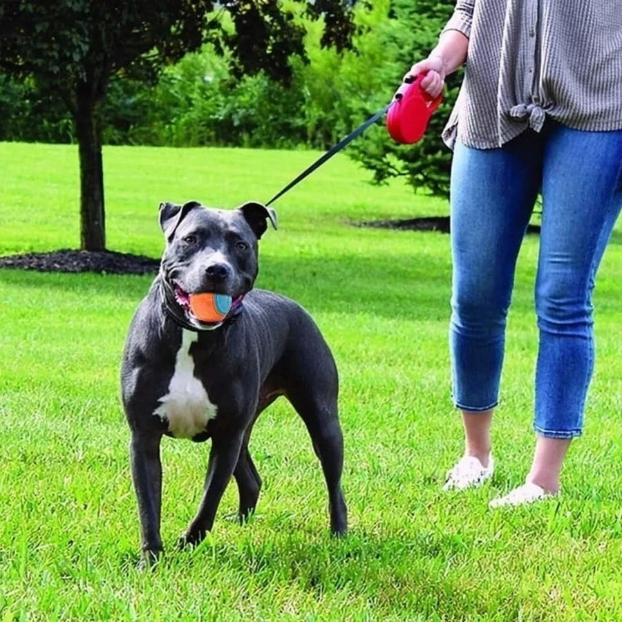 Ultimate Play Ball - PetPlayHub