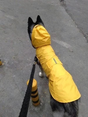 PawShield Premium Rain Jacket - PetPlayHub