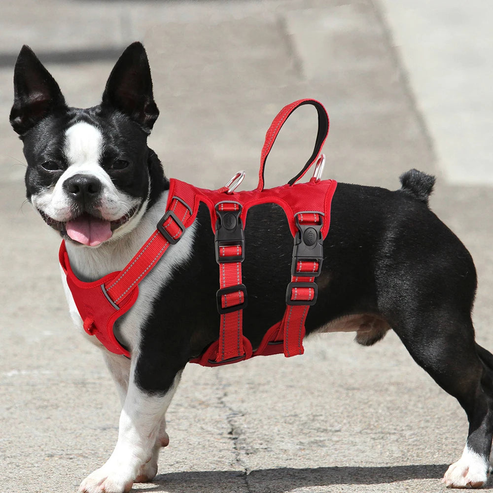 SafeGuard Pro Waterproof Dog Harness - PetPlayHub