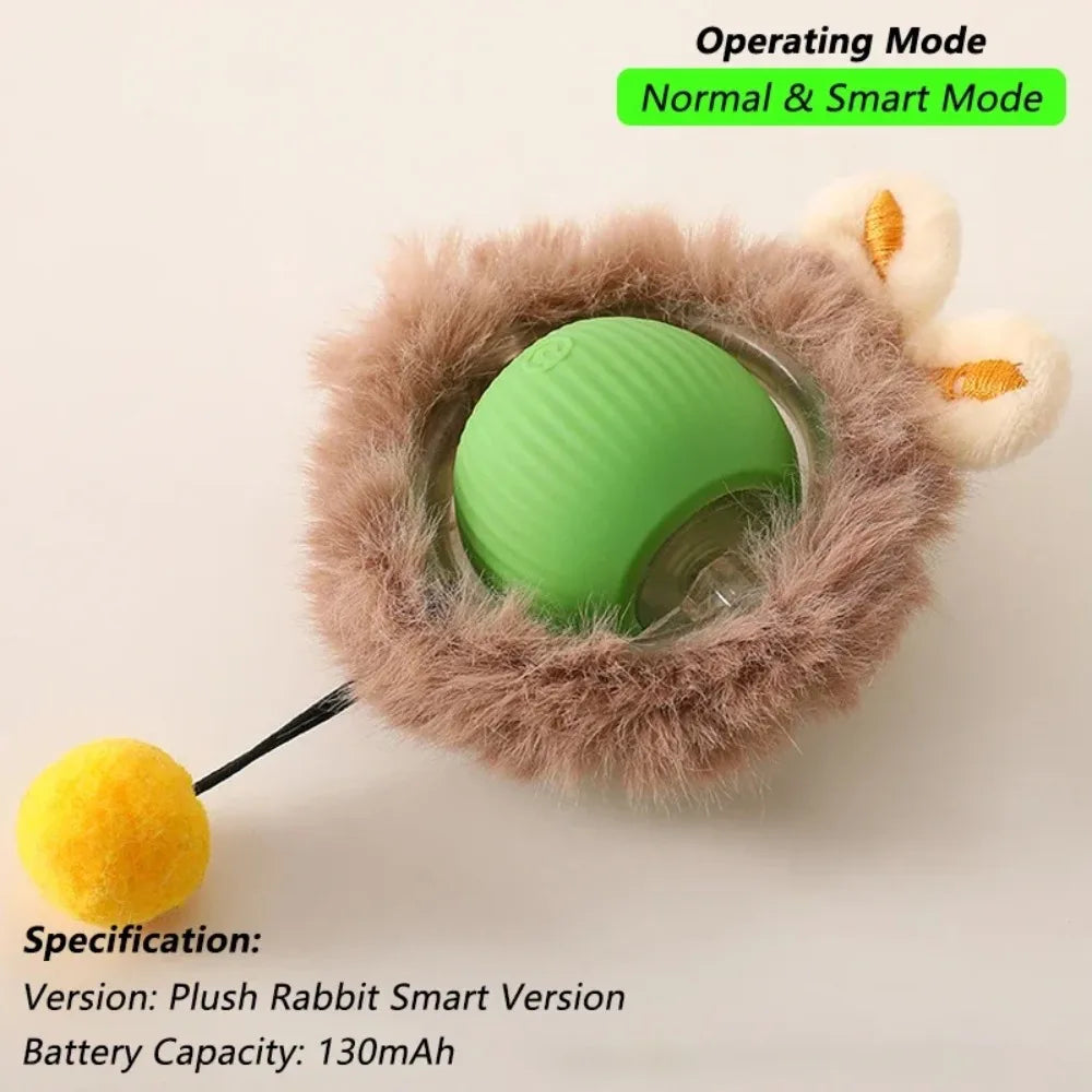 Rolling Cat Toy Ball – Fun & Engaging Chase Toy - PetPlayHub