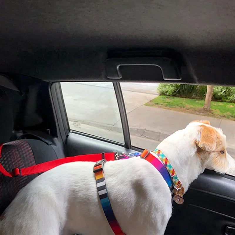 Adjustable Pet Car Seat Belt Leash - PetPlayHub