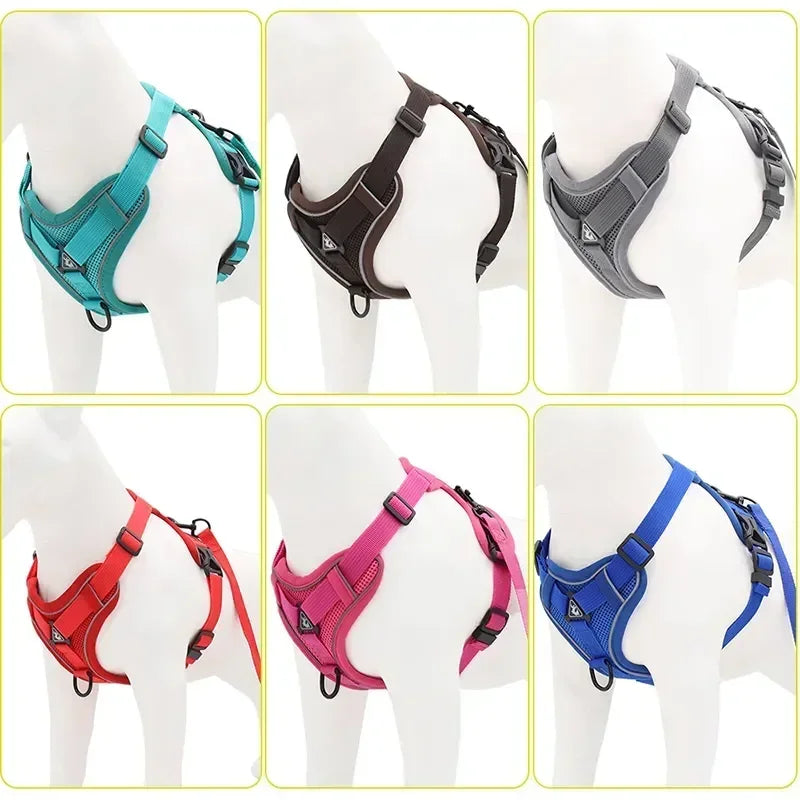 ComfortGuard Premium Pet Harness & Leash System - PetPlayHub