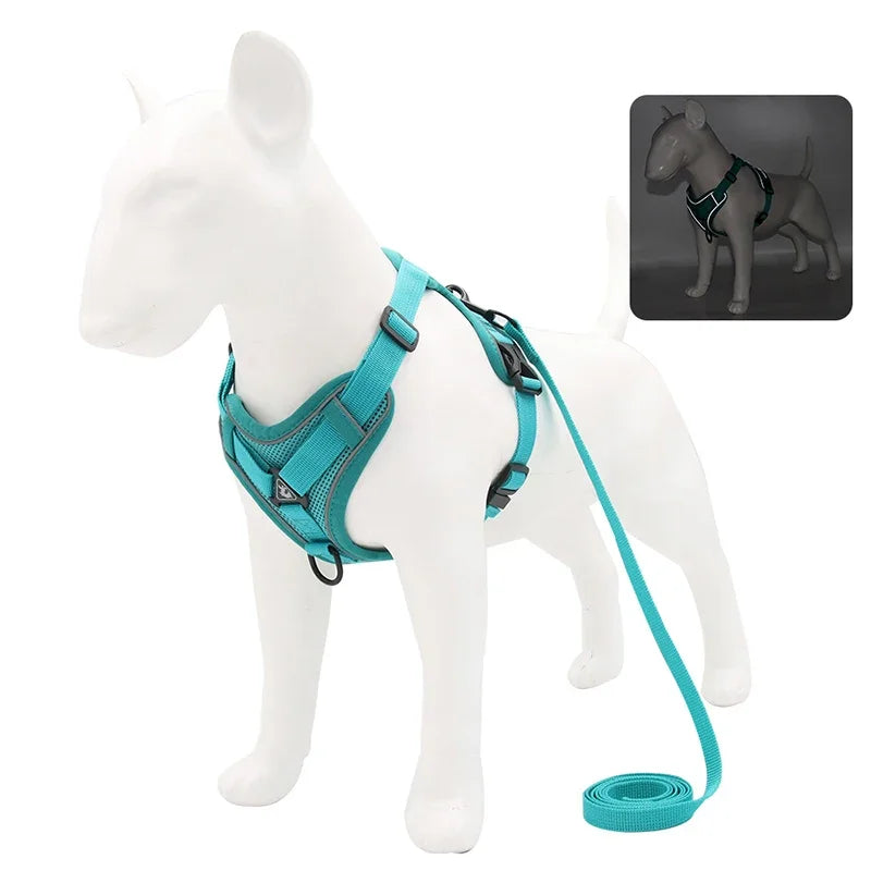 ComfortGuard Premium Pet Harness & Leash System - PetPlayHub