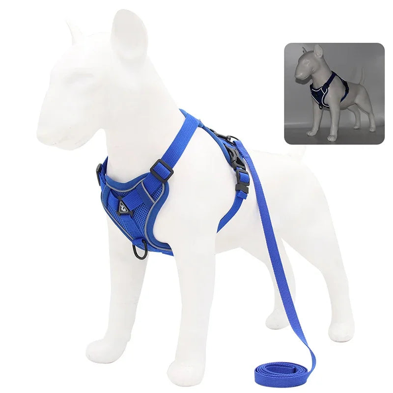 ComfortGuard Premium Pet Harness & Leash System - PetPlayHub