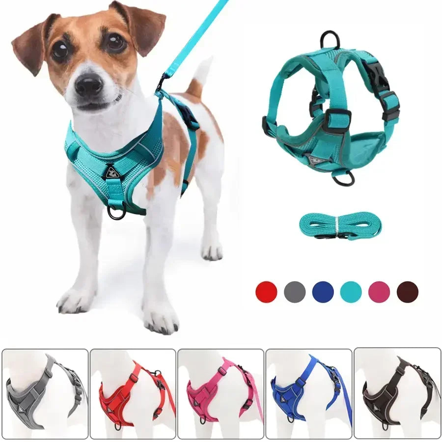 ComfortGuard Premium Pet Harness & Leash System - PetPlayHub