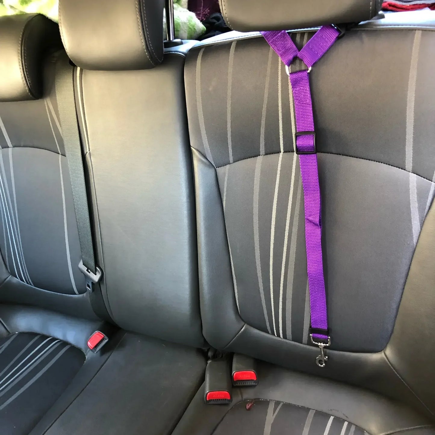 Adjustable Pet Car Seat Belt Leash - PetPlayHub