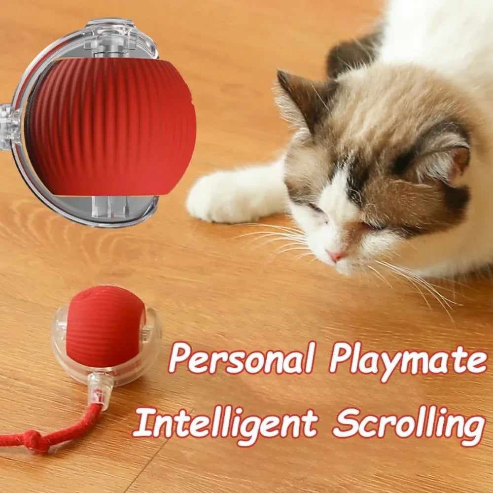 Rolling Cat Toy Ball – Fun & Engaging Chase Toy - PetPlayHub