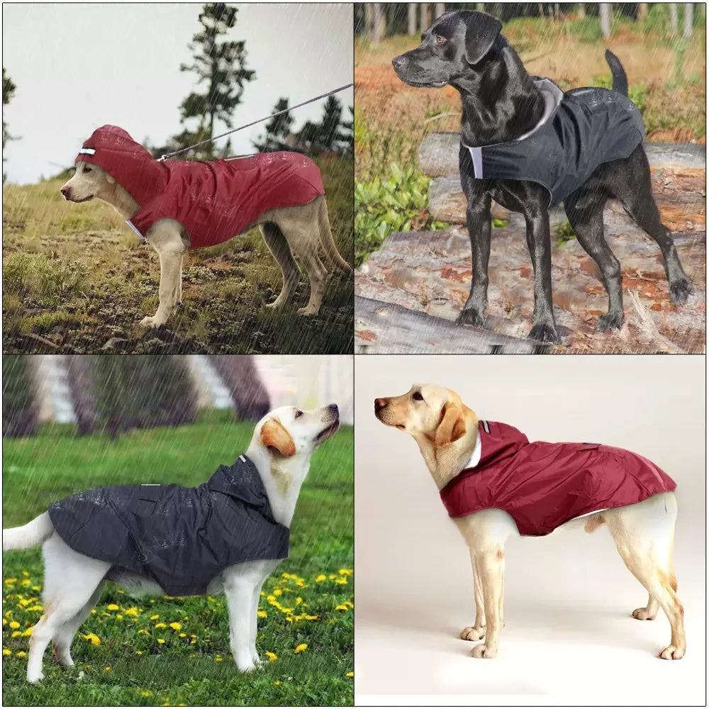 PawShield Premium Rain Jacket - PetPlayHub