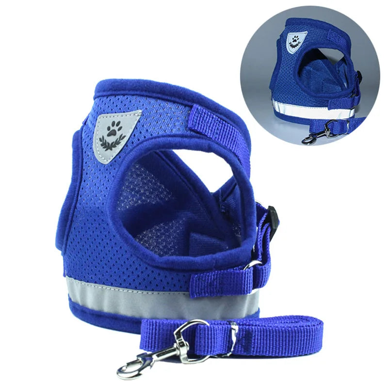 Adventure-Ready Cat Harness - PetPlayHub