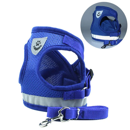 Adventure-Ready Cat Harness - PetPlayHub