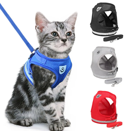 Adventure-Ready Cat Harness - PetPlayHub