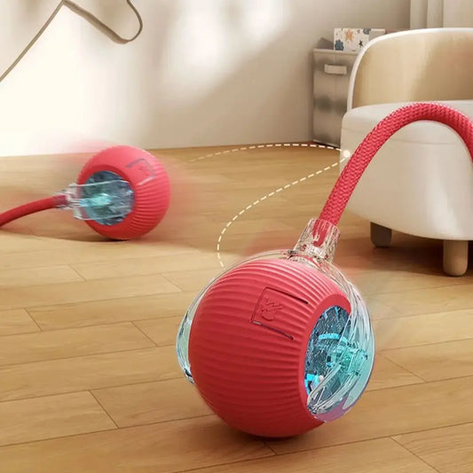 Rolling Cat Toy Ball – Fun & Engaging Chase Toy - PetPlayHub