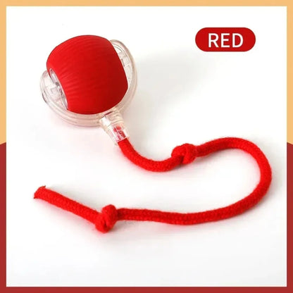 Rolling Cat Toy Ball – Fun & Engaging Chase Toy - PetPlayHub