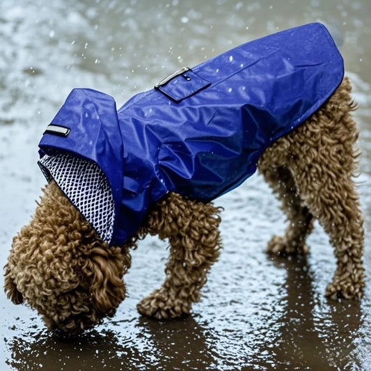 PawShield Premium Rain Jacket - PetPlayHub