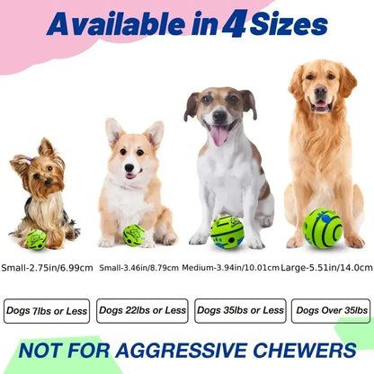 ChewGuard Squeak Ball - PetPlayHub