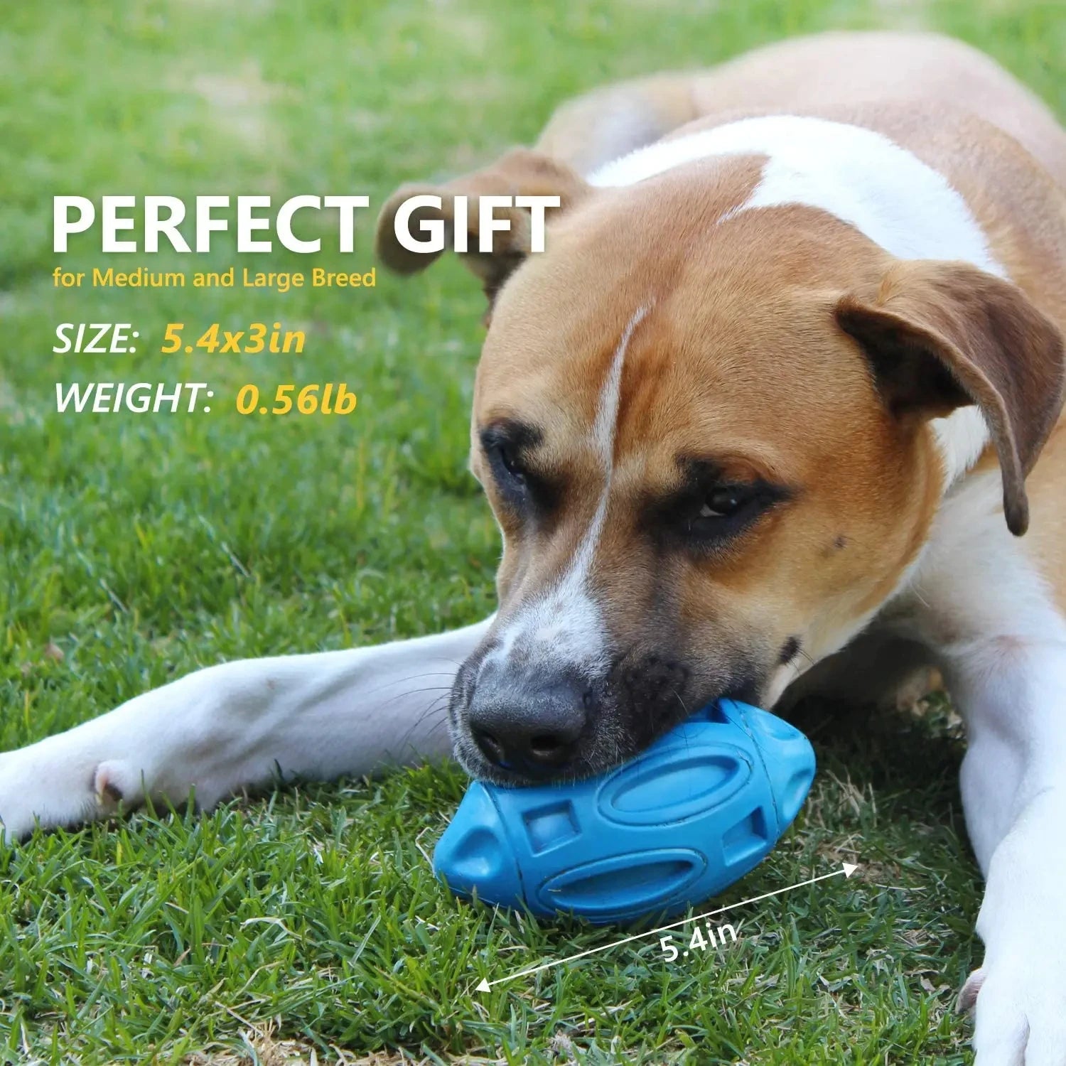 Rubber Dog Ball for Tough Chewers - PetPlayHub