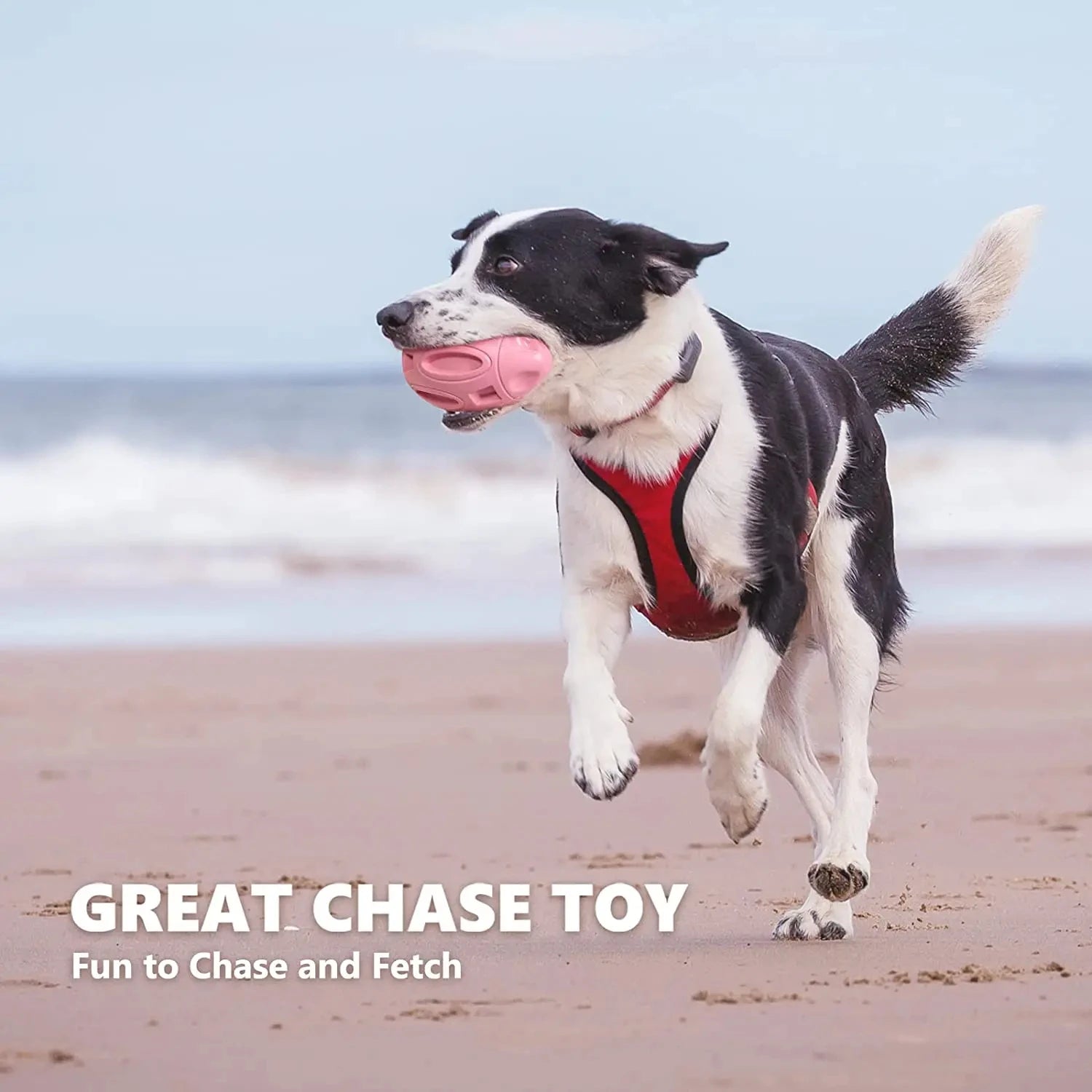 Rubber Dog Ball for Tough Chewers - PetPlayHub