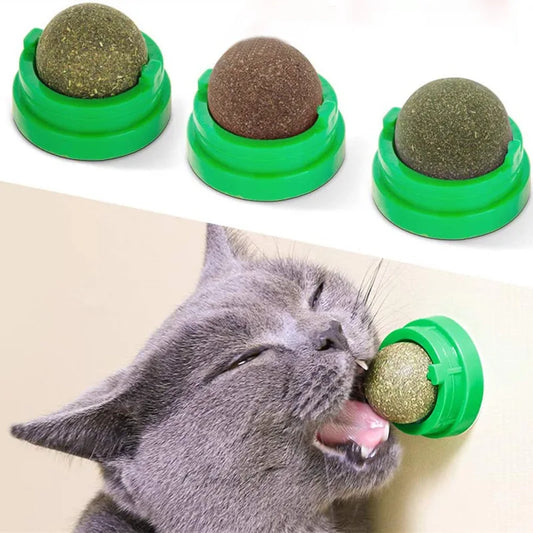 Catnip Wall Stick-On Ball Toy - PetPlayHub