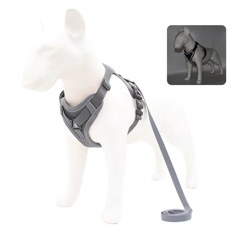 ComfortGuard Premium Pet Harness & Leash System - PetPlayHub