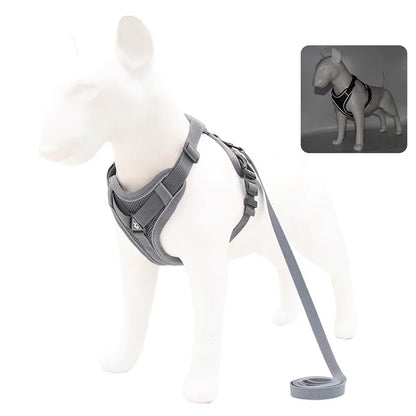 ComfortGuard Premium Pet Harness & Leash System - PetPlayHub