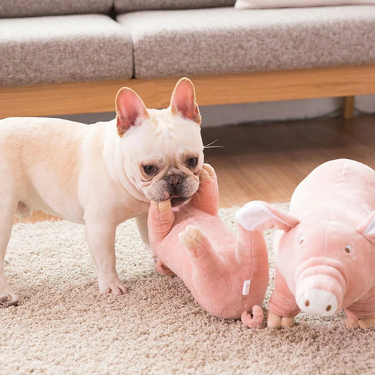 SquishPig Ultra-Tough Pet Toy - PetPlayHub