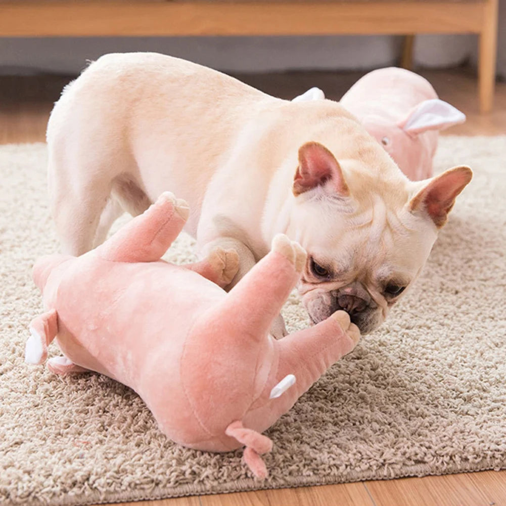 SquishPig Ultra-Tough Pet Toy - PetPlayHub