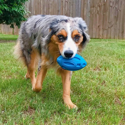 Rubber Dog Ball for Tough Chewers - PetPlayHub