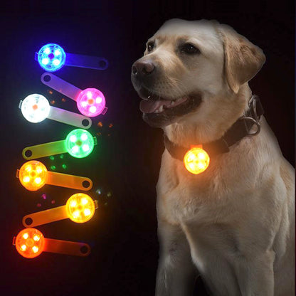 NightGuard Pro LED Pet Collar - PetPlayHub