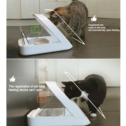 Microchip Automatic Pet Feeder - Stress-Free Feeding for Wet & Dry Food - PetPlayHub