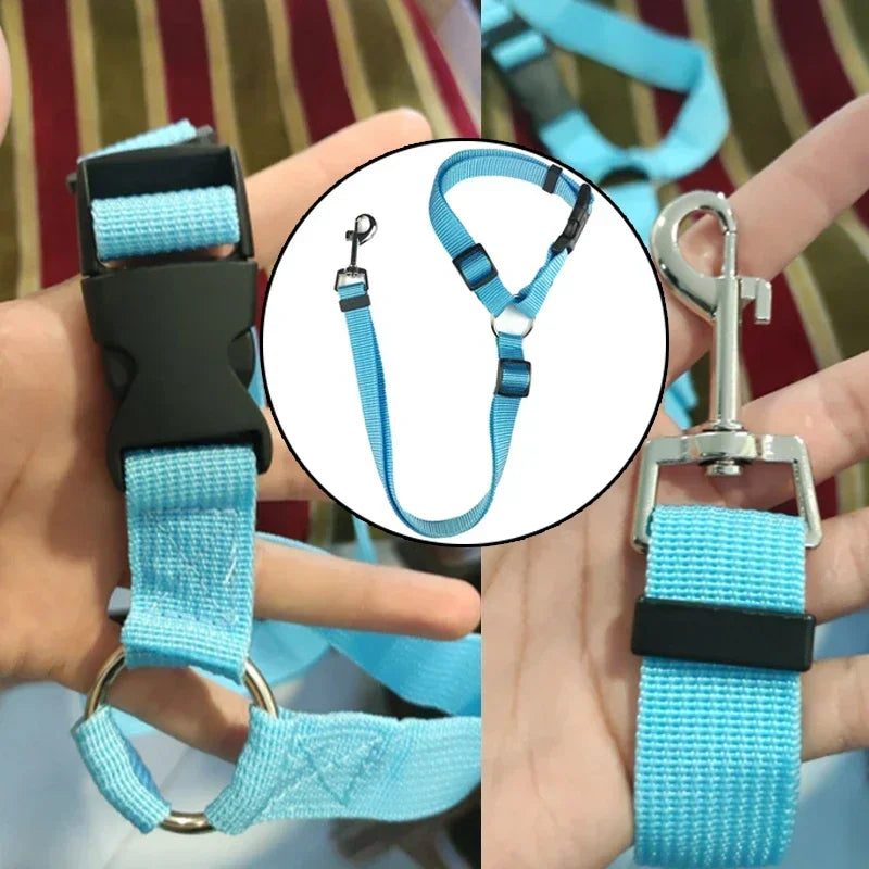 Adjustable Pet Car Seat Belt Leash - PetPlayHub
