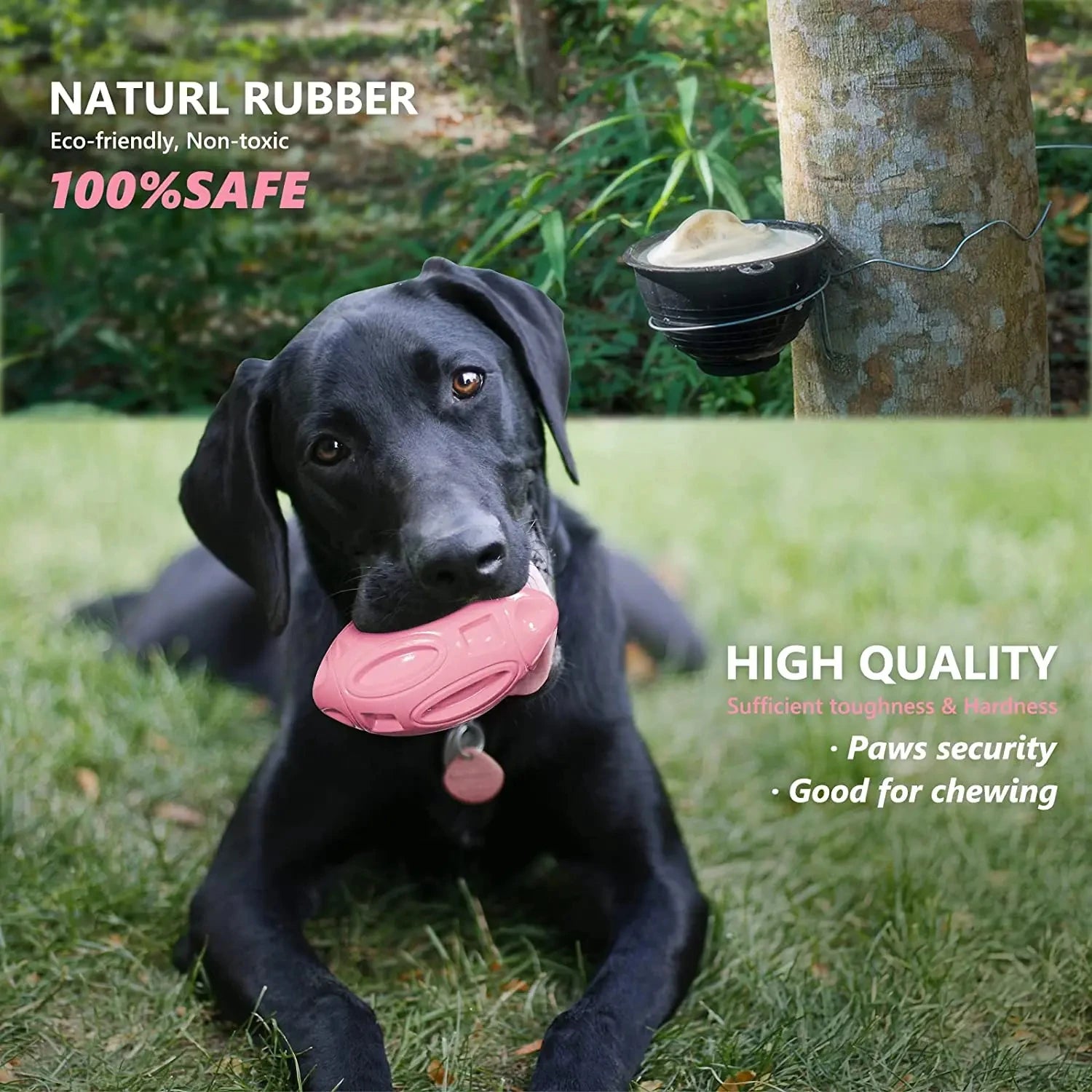 Rubber Dog Ball for Tough Chewers - PetPlayHub